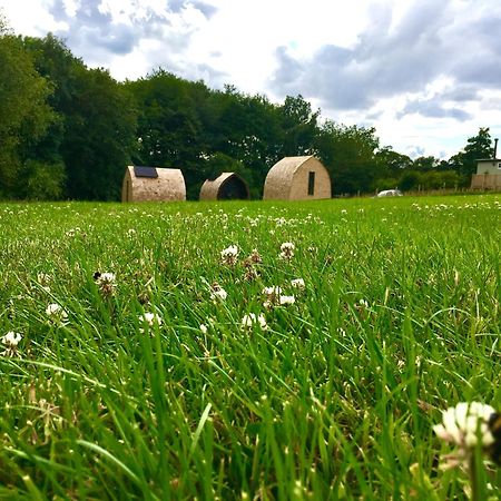 Hotel Alder Pod, Clay Bank Huts à Ingleby Greenhow Extérieur photo