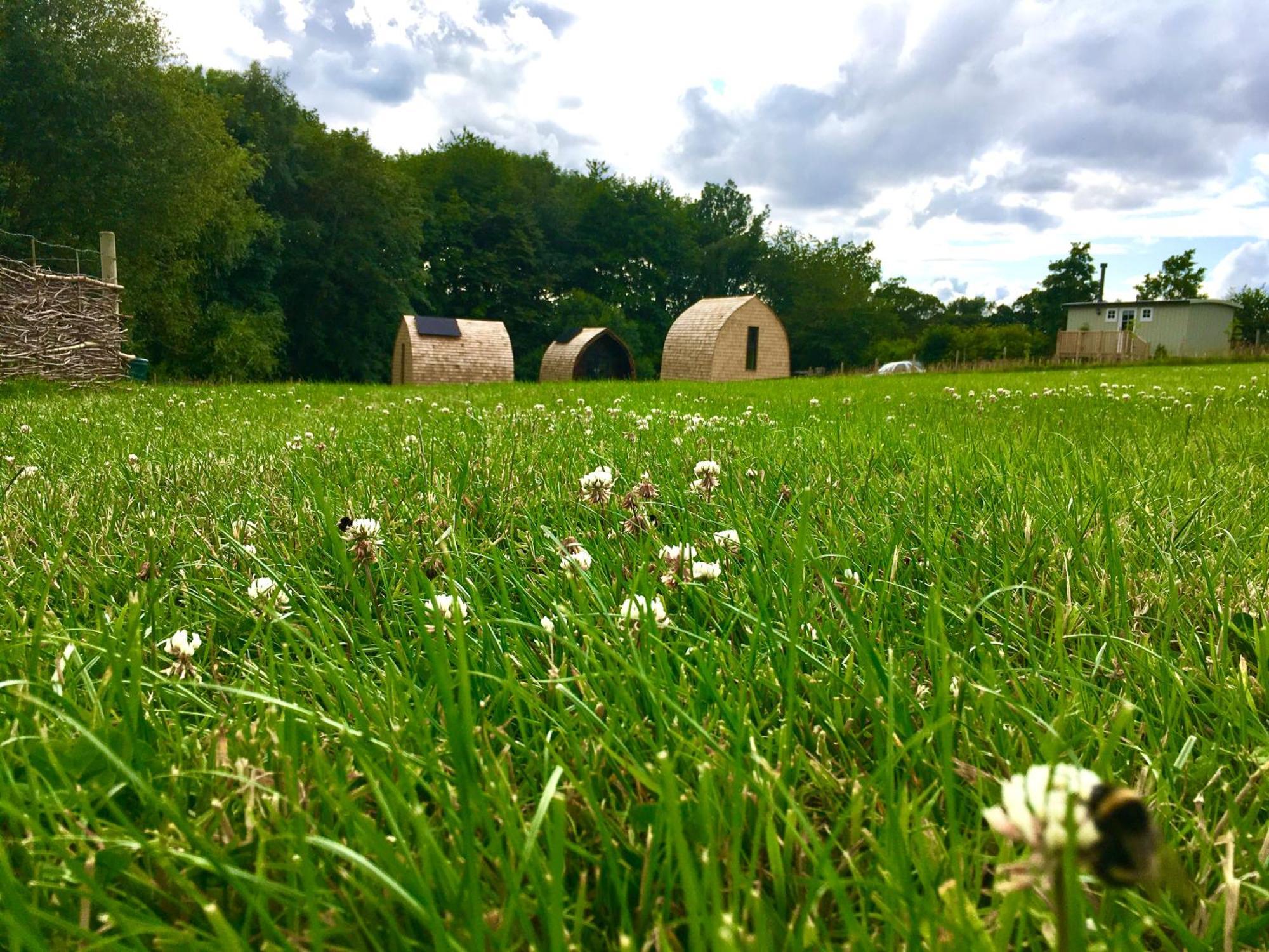 Hotel Alder Pod, Clay Bank Huts à Ingleby Greenhow Extérieur photo